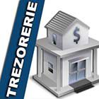 plata prin trezorerie